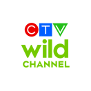CTV Wild